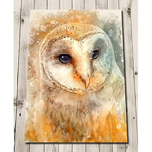 Owl Print Wall Art Barn Owl Gift Colourful Wall Art Nature