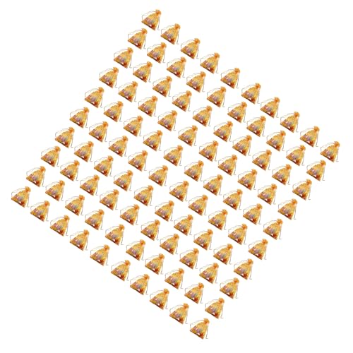 100pcsn[gI[KUMtgobO4x6inchEFfBOp[eB[o^Cf[̂߂̃h[XgO|[`gpEFfBOMtgpbP[W