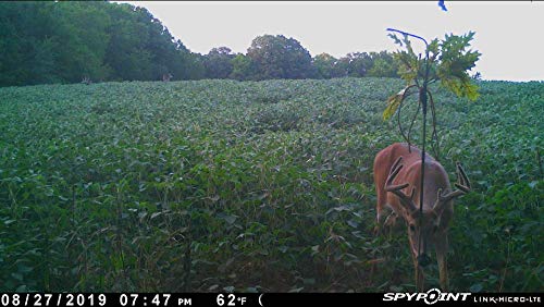 Spypoint Link-Micro-Lte Cellular Trail Camera With Bundle Options (Link-Micro-Lte, 2 Pk) #TOP7