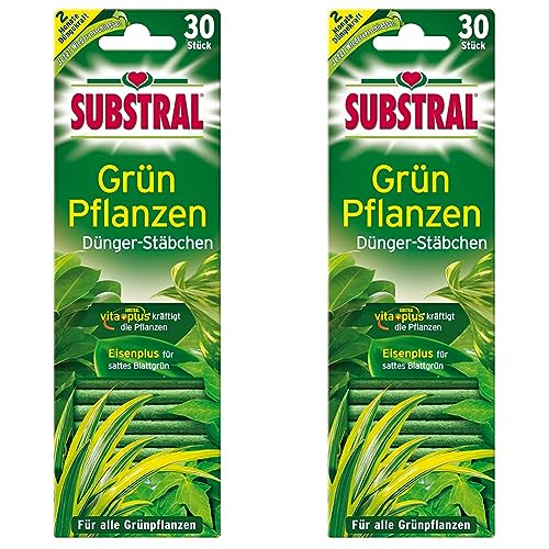 Substral Dünger-Stäbchen für Grünpflanzen mit Eisen-Plus und 2 Monate Langzeitwirkung, 30 Stück (Packung mit 2)