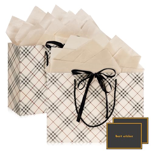 Papier Geschenktüten mit Griffen - 2 Stück mit 2 Taschentüchern und 2 Karten für Frauen, Mädchen, Brautjungfern und Geburtstage