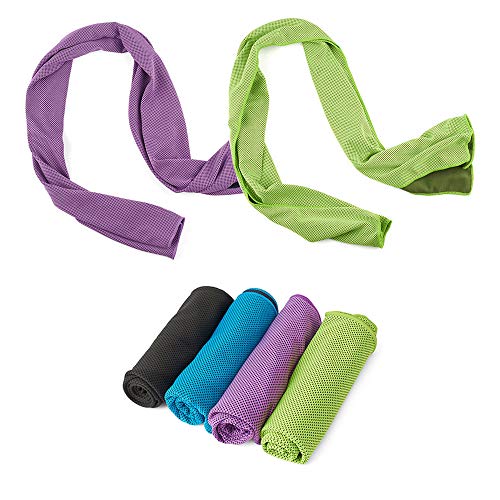 Best Soft Cooler For Disney World 10Reviewz