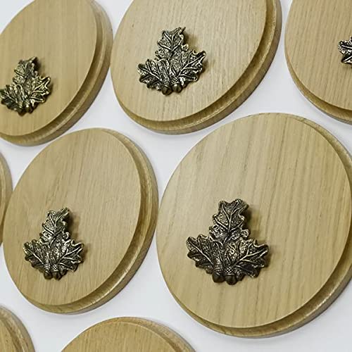 GTK Oferta 10 placas de cuña redondas de roble claro AF 15 cm tabla cuña, tabla de especias, cartel para trofeos con 10 hojas de roble