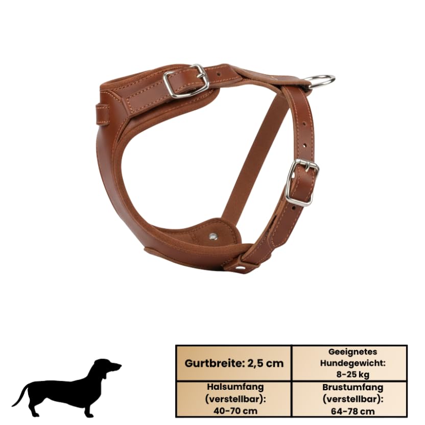 Hundegeschirr kleine Hunde aus echtem Rindsleder - Hundegeschirr Leder für Dackel, Chihuahua & co - verstellbares Welpengeschirr - Geschirr für kleine Hunde für Spaziergänge & Alltag (S)