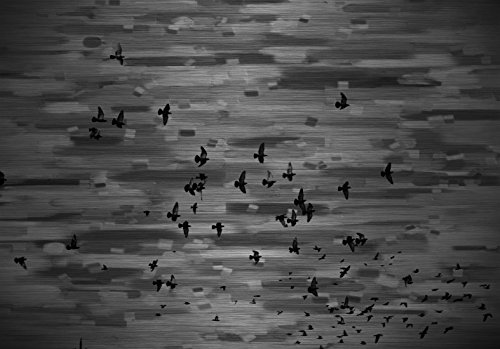 Marmont Hill Mansfield Aluminum Wall Art, 24 by 16-Inch