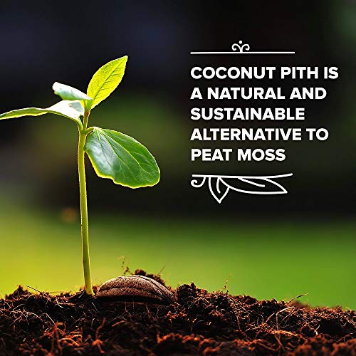 Image of SJ Organics Cocopeat Bricks (Pack of 2 x 1kg) - Premium Sterilized Coco Soil for Potting Mix | Enhanced Aeration for Root Growth | Ideal for Balcony Garden & Flower Pots