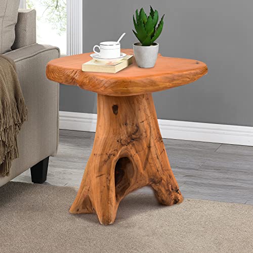Hoegmst Small Side Table, Unique Design Live Edge Wood Stool, Freeform Natural Plant Stand For Garden, Yard, Living Room, Bedroom #TOP4