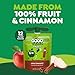 GoGo squeeZ Applesauce and Fruit Puree, Apple Cinnamon, 3.2 oz (Pack of 12), Unsweetened Fruit Snacks for Kids, Gluten Free, Nut Free and Dairy Free, BPA Free Pouches (Packaging May Vary)