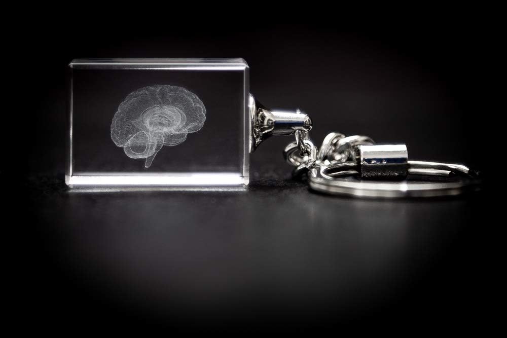 Blue Tree PublishingAnatomy Crystal (Brain Key Chain)