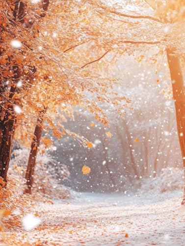 Diamond Painting Hiver Grand Format 70x95cm à offrir en cadeau créatif aux adultes