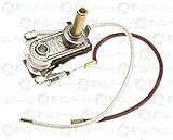 Polti Thermostat 185°C + Thermosicherung TCO 240°C Vaporella Lecoaspira Forever