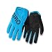 Giro DND Jr. II Gloves - Kids' Blue Jewel, L