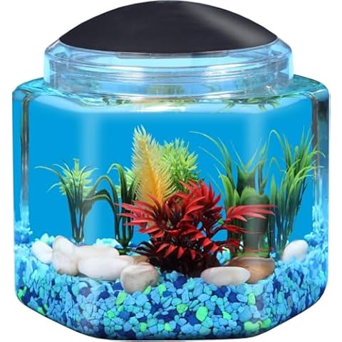 Koller Products 1 Gallon Hex BettaTank - LED Lighting Cover