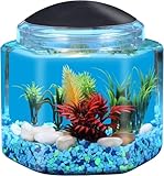 Koller Products 1 Gallon Hex BettaTank - LED Lighting
