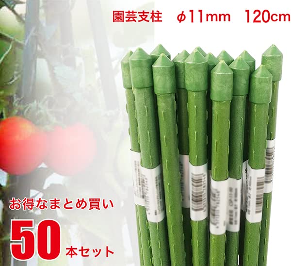 Amazon | 園芸支柱 径11mm×長さ120cm 50本 セット CSP-11-120-SET | 支柱