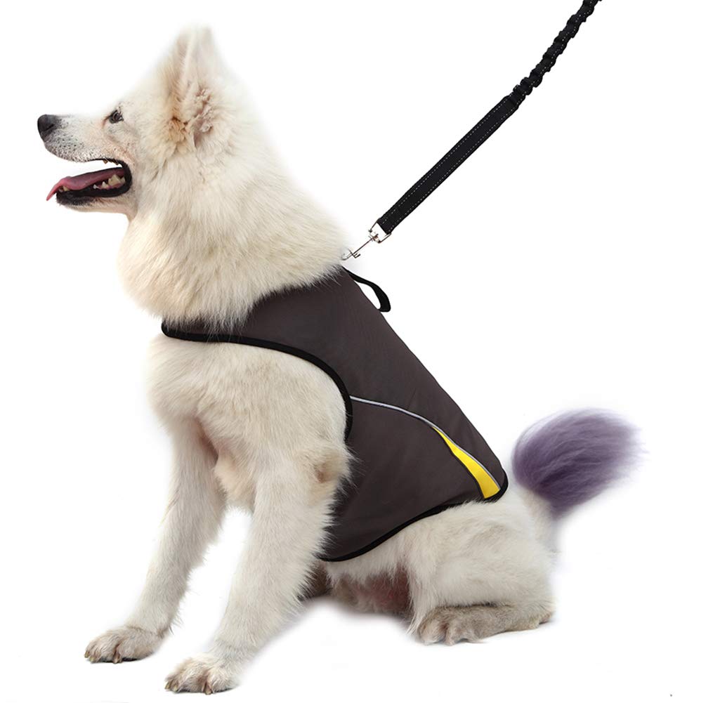 How Do Anxiety Jackets For Dogs Work
