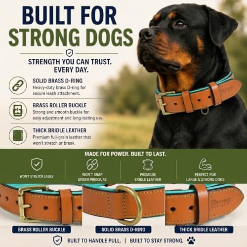 Image of Genuine Leather Dog Collar, Tan, Large, Brass Buckle, Padded | 1.25 Inch Wide, Fit Neck Size - 18.5 inch - 22.5 inch, Double D Ring, Adjustable, Thick Leather, Heavy Duty, Soft Leather padding