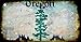 SMART BLONDE Oregon Rusty Blank Key Chain KC-8154