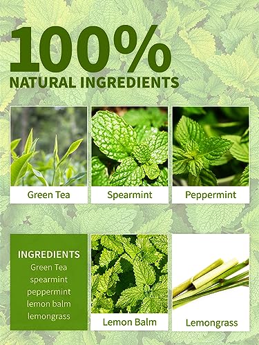 Image of TeeLux Mint Green Tea Bags, Fresh & Smooth Taste, Refreshing Aroma, 50Count