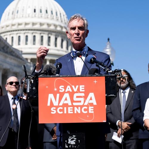 Science funding was hit in 2025. What does that mean for the future?