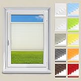 OUBO Plissee Klemmfix Faltrollo ohne Bohren Jalousie mit Klemmträger (Beige, B80cm x H200cm) Blickdicht Sonnenschutz und Sichtschutz Rollo für Fenster & Tür