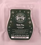 Scentsy, Winter Pine, Wickless Candle Tart Warmer Wax 3.2 Fl Oz, 8 Squares