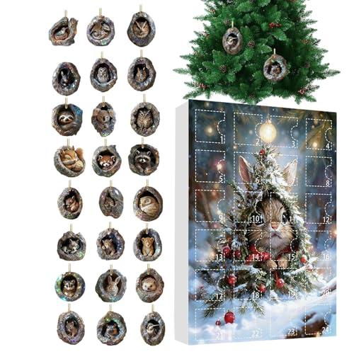 AhxgI[ig - 2D AN 24 NX}X `[ J_[ c[z[  - ݂艺\ wZ  -  q j̎q ̎q  |[` oRj[ NX}X c[ p[eB[ 