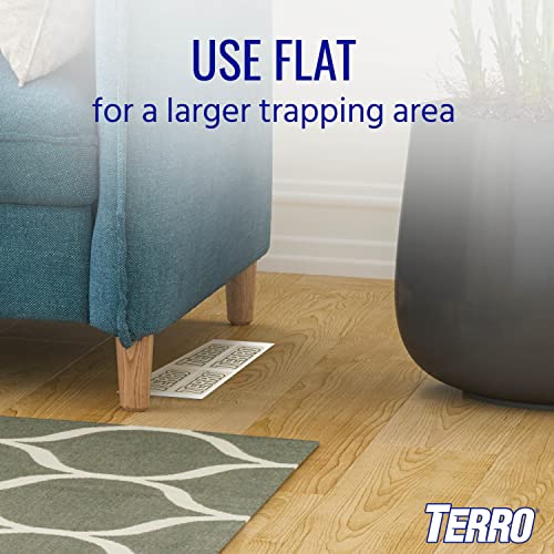 TERRO T3206SR Non-Toxic Indoor Spider, Ant, Cockroach, Centipede, & Insect Traps - Includes 12 Bug Traps Indoor for Homes - image 8