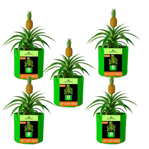 Image of Kingwell grow bags 15x15 inch pack of 5 Grow Bag For Terrace Garden Leafy Vegetable Plant Grow Bags Fruits Growing Containers For terrace Gardening