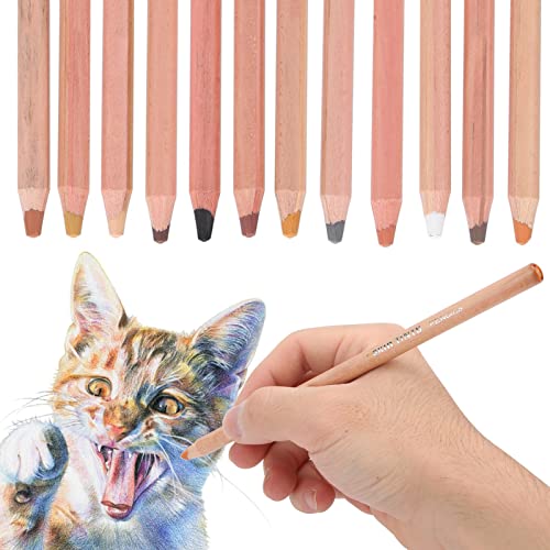 Paquete De 12 Lápices Pastel De Tono De Piel, Tóner Pintado A Mano De 6,8 Pulgadas, Juego De Dibujo De Lápices De Carbón De Color Profesional, Lápices De Colores De Tono De Piel, Tiza Pastel Para Prin