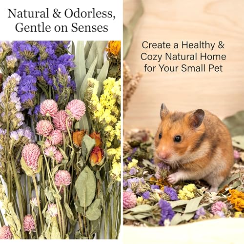 image for Sukh Hamster Bedding Sprays Habitat Decor - Natural Hamster Cage Acces