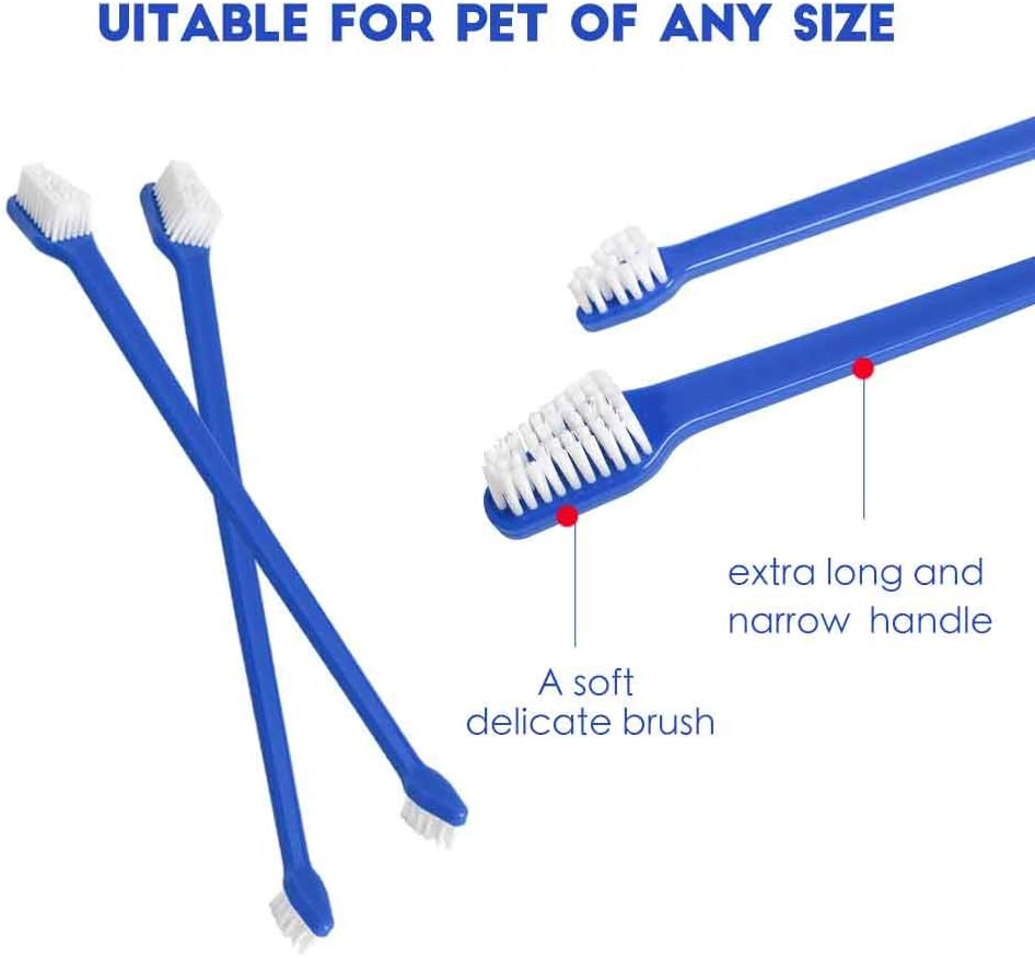 JOCHA Dog cat pet Toothbrush kit Set Double Headed Tooth Brush Tooth-Brush Stick Small Breed for Small Tiny Large Dogs Bulk 50 Piece (Blue) : Pet Supplies