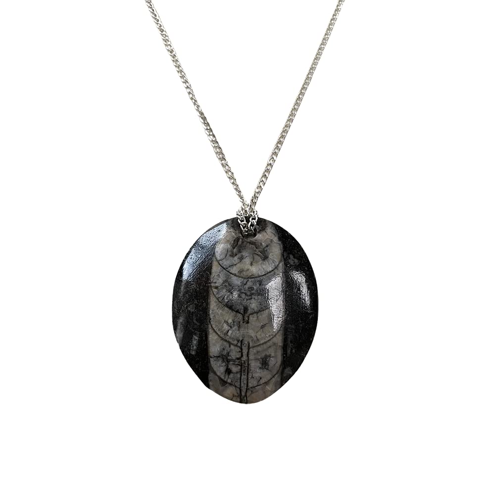 VIE Chakra Fossil Pendant, Orthoceras, Teardrop, 30mm
