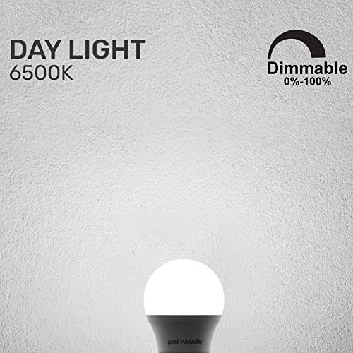 paul russells LED Golf Ball, Dimmable Edison Screw Light, 5.5W 470 LM E27 G45 LED Bulbs, 40w Equivalent, 6500K Daylight - Image 3
