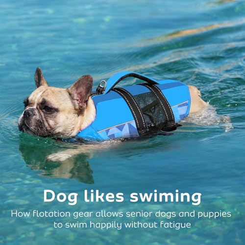 CITÉTOILE Schwimmweste Hund, Hunde Schwimmweste mit Griff und Reflektierend, Rettungsweste für Kleine Mittlere und Große Hunde mit Guter Auftrieb, Leicht und Sicher für Wassersport Blau M