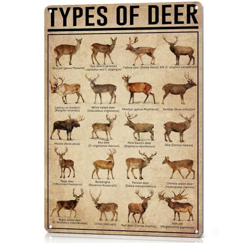 HYBLOM Hunting Decor Types Of Deer Poster Vintage Metal Signs 8x12 Inches