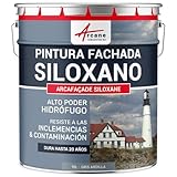 ARCANE INDUSTRIES Pintura siloxánica para Exteriores y fachadas, de Alto Poder hidrófugo - ARCAFAÇADE SILOXANE - Gris Ardilla- RAL 7000