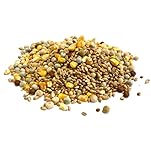 Mixed Pigeon Corn 5kg Premium Quality Bird Food