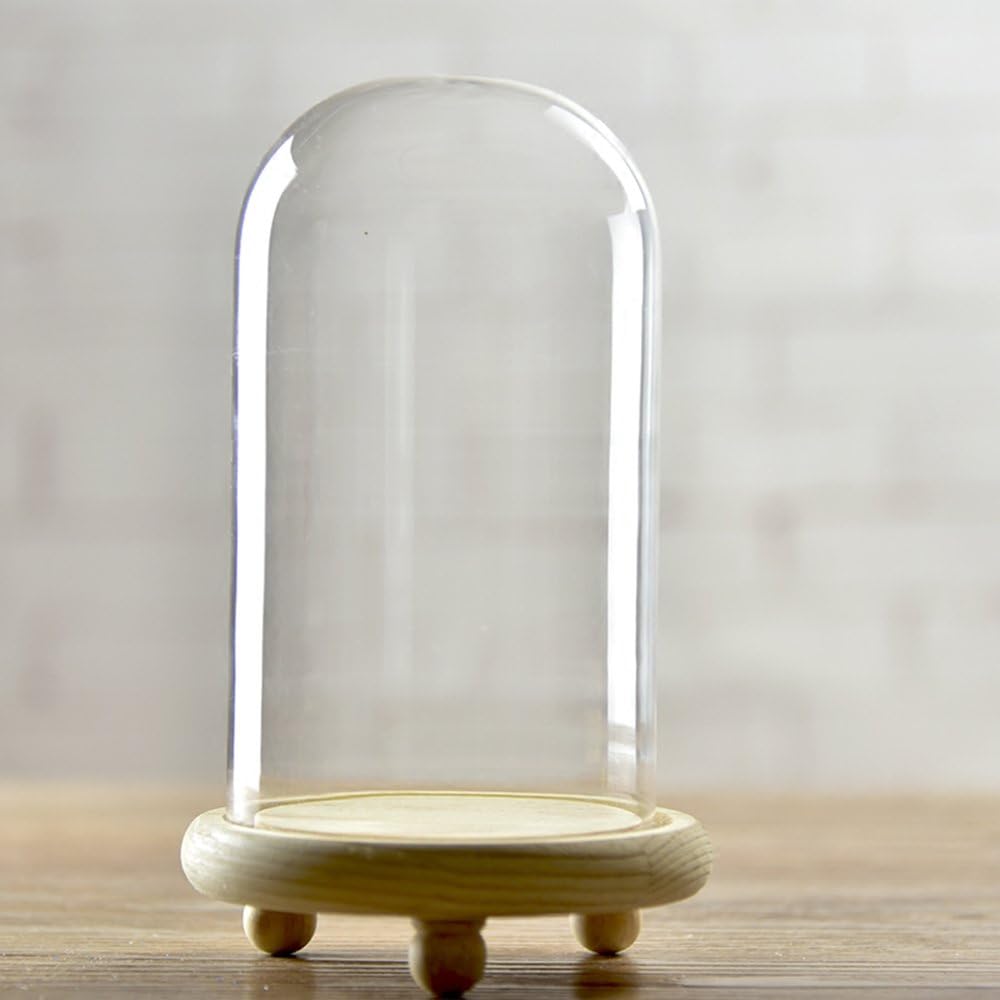 Artlass Glass Cloche Bell Jar Dome With wooden Tray Diameter 10 cm (Large)