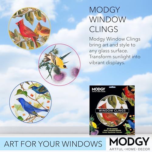Adhesivos Decorativos para Ventanas MODGY John J. Audubon set 3 miniatura 2