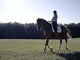  Zuhause bei Andrea Bethge