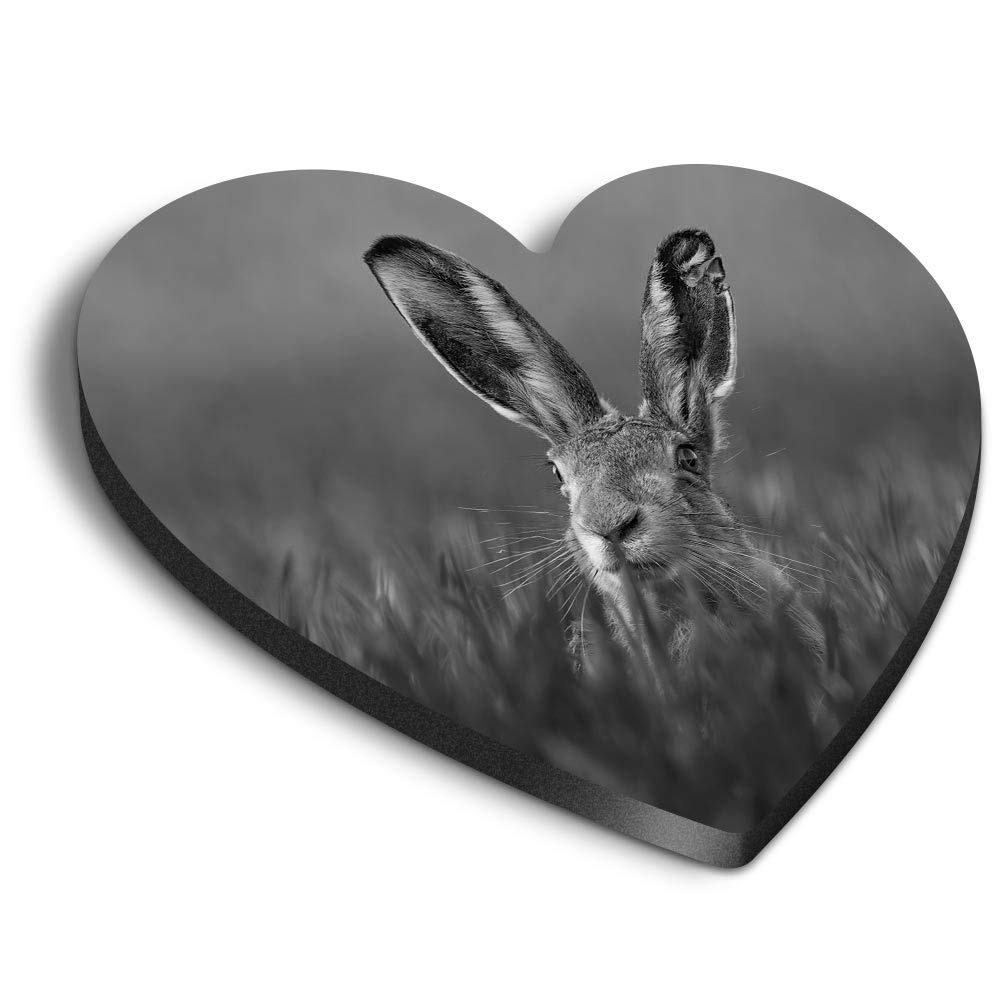 Destination Vinyl Ltd Multicolor 1 X Heart Mdf Magnets - Lepus Wild European Hare Rabbit 37868