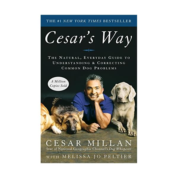 Cesars-Way-The-Natural-Everyday-Guide-to-Understanding-Correcting-Common-Dog-Problems-Paperback--September-18-2007 Cesar's Way: Ultimate Guide to Dog Behavior Correction