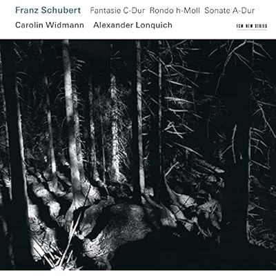 Schubert: Fantasy in C major / Rondo in B minor / Sonata in A major