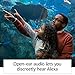 All-new Echo Frames (2nd Gen) | Smart glasses with open-ear audio and Alexa | Classic Black