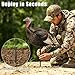 CHERAINTI Turkey Decoy Stakes 10 PCS, 22 Inch Collapsible Replacement Stakes with Elastic Shock Cord, Lightweight & Portable Fiberglass Decoy Poles Sticks for Outdoor Turkey Hunting Accessories