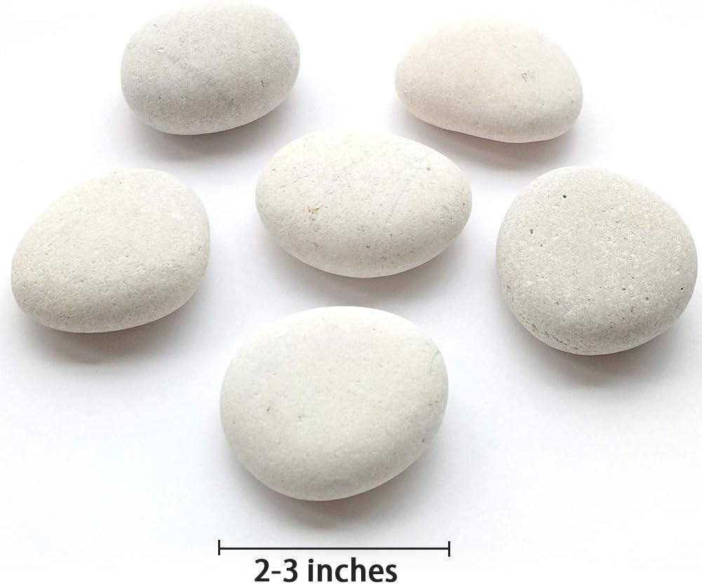 BigOtters Painting Rocks, 12 Rocks 2-3 inches Painting Kindness Rocks Mandala Painting Favors for Easter Kid Aldult Gift, About 3.7 pounds : Patio, Lawn & Garden