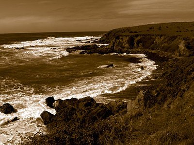 East-West Ranch Fine Art Photo Cambria Big Sur By Michael Verlangieri