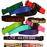 Custom Personalized Embroidered Dog Collars (Guardian Gear Brand Dog Collars)