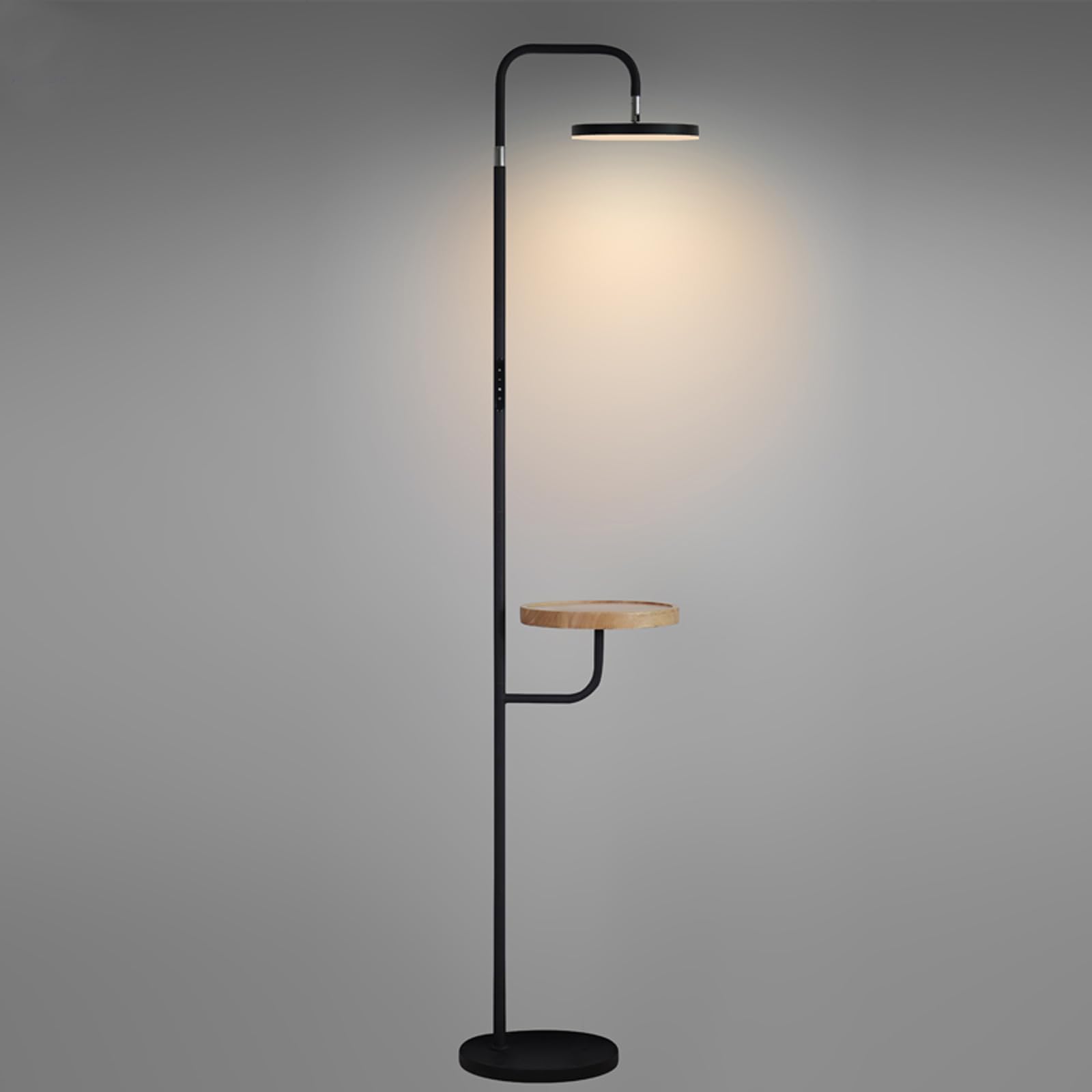 Modern LED Floor Lamp for Bedroom and Living Room - Tall Standing Lamp ...